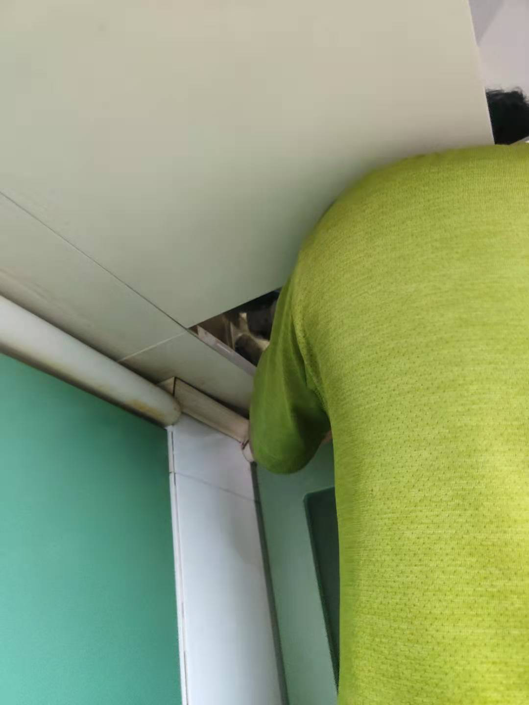 烟道止回阀