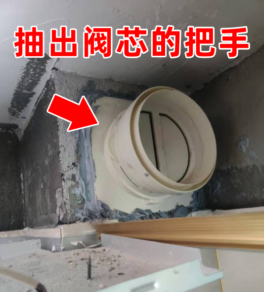 烟道止回阀